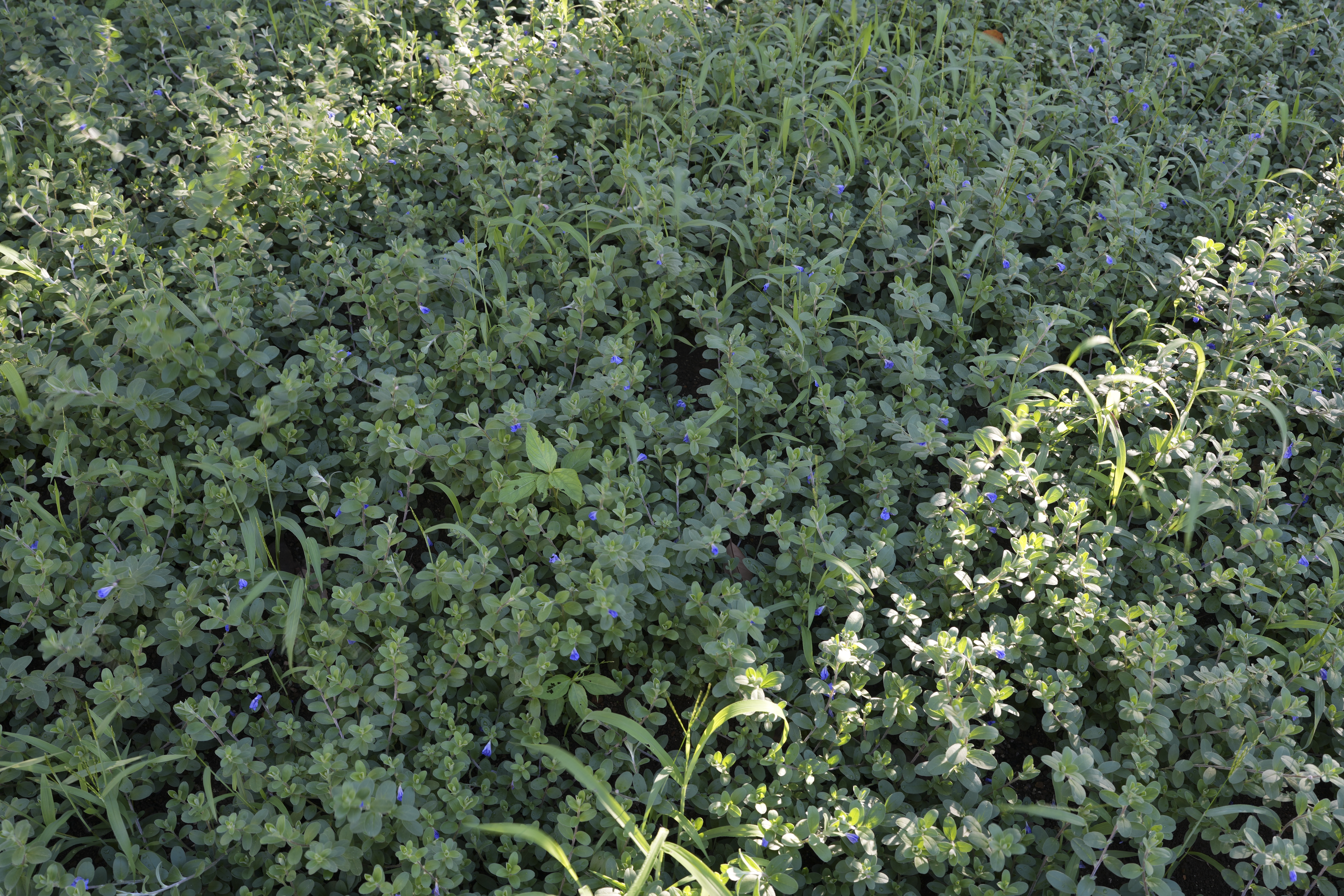 α7 IV／FE 35mm F1.4 GM／絞り優先（1/15秒・F8.0・-0.3EV）／ISO 100