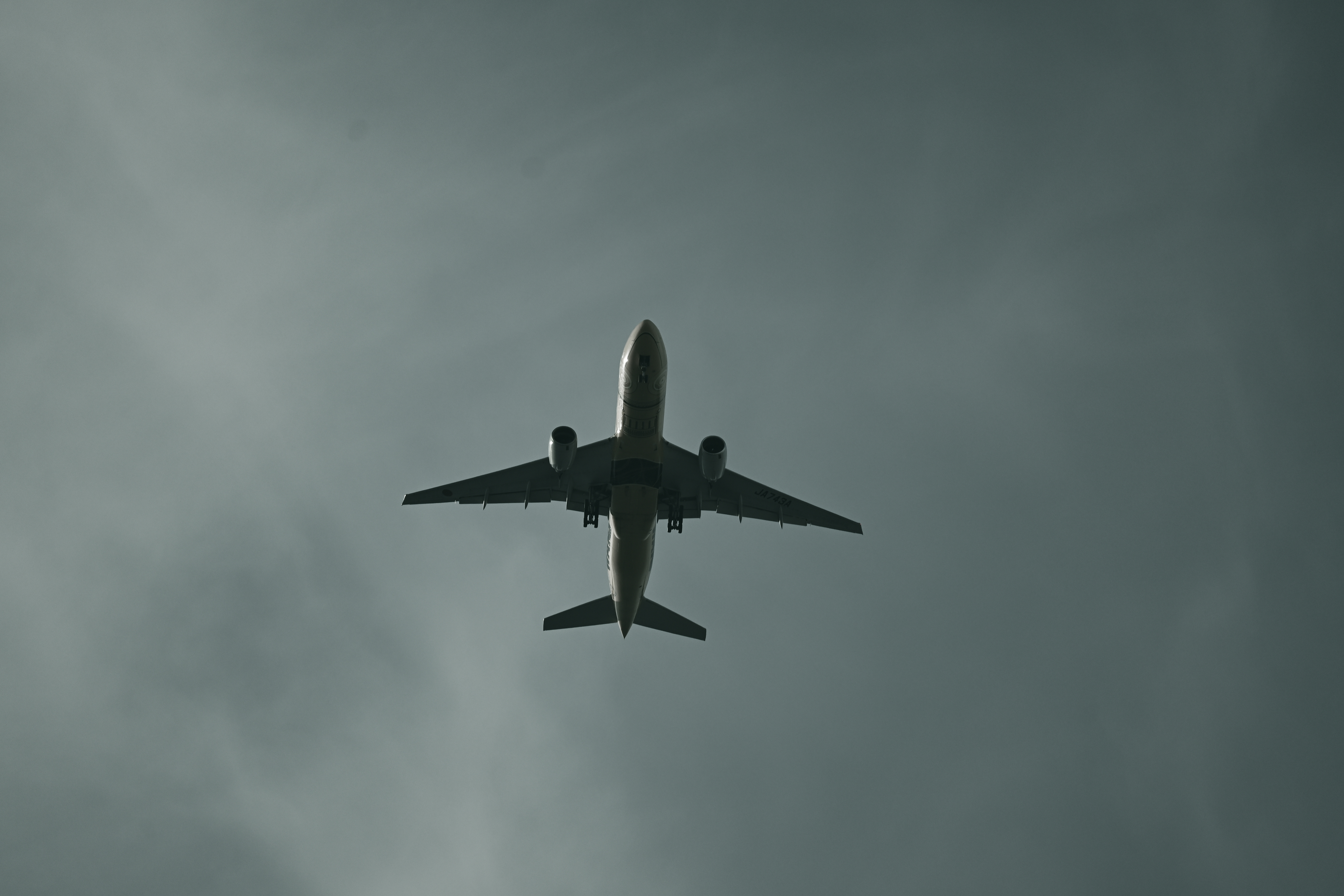 ニコン Z 30　NIKKOR Z DX 50-250mm f/4.5-6.3 VR（F6.3・1/1,000秒）ISO 100