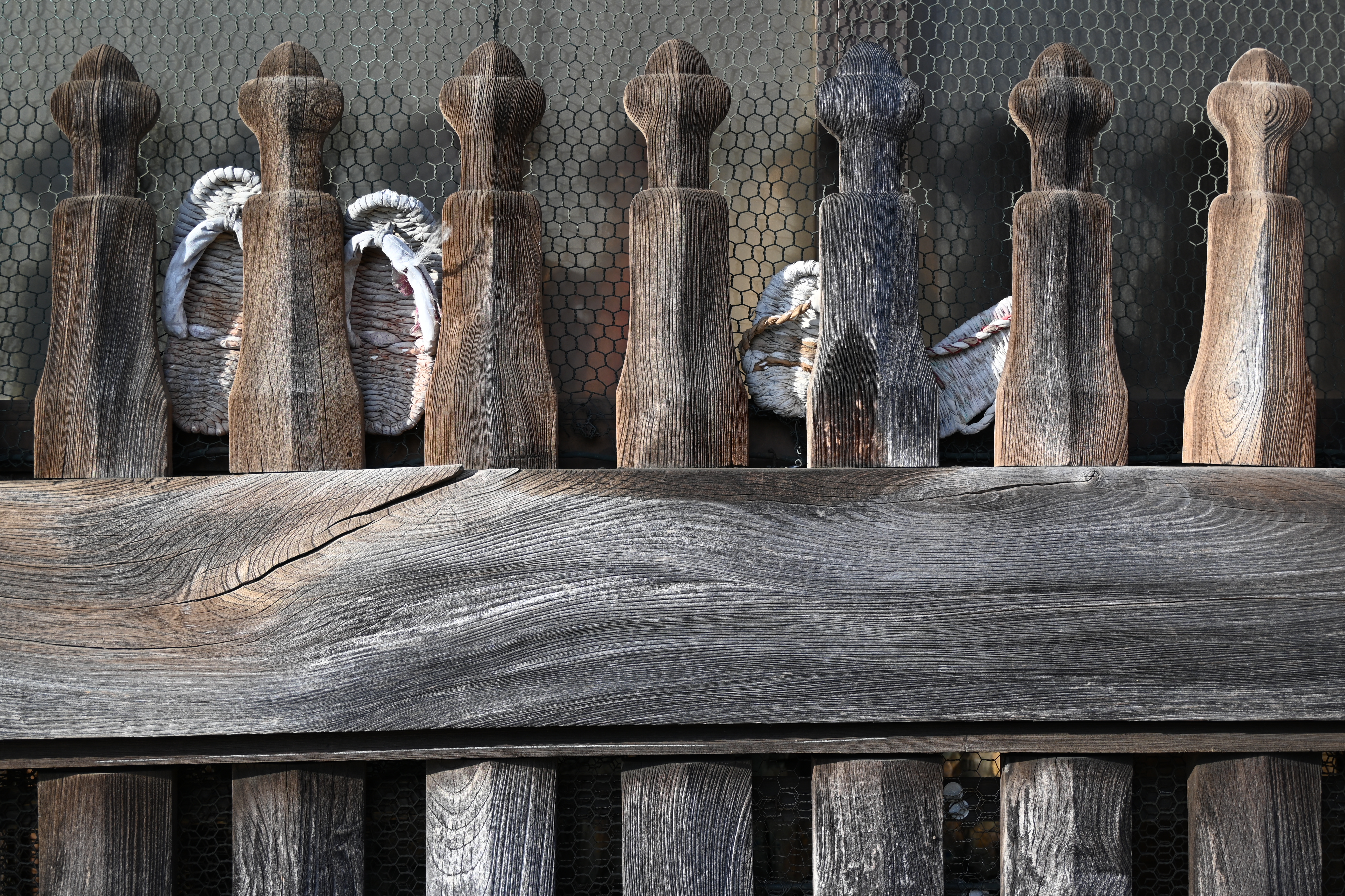 ニコン Z 30　NIKKOR Z DX 16-50mm f/3.5-6.3 VR（F5.6・1/125秒）ISO 100