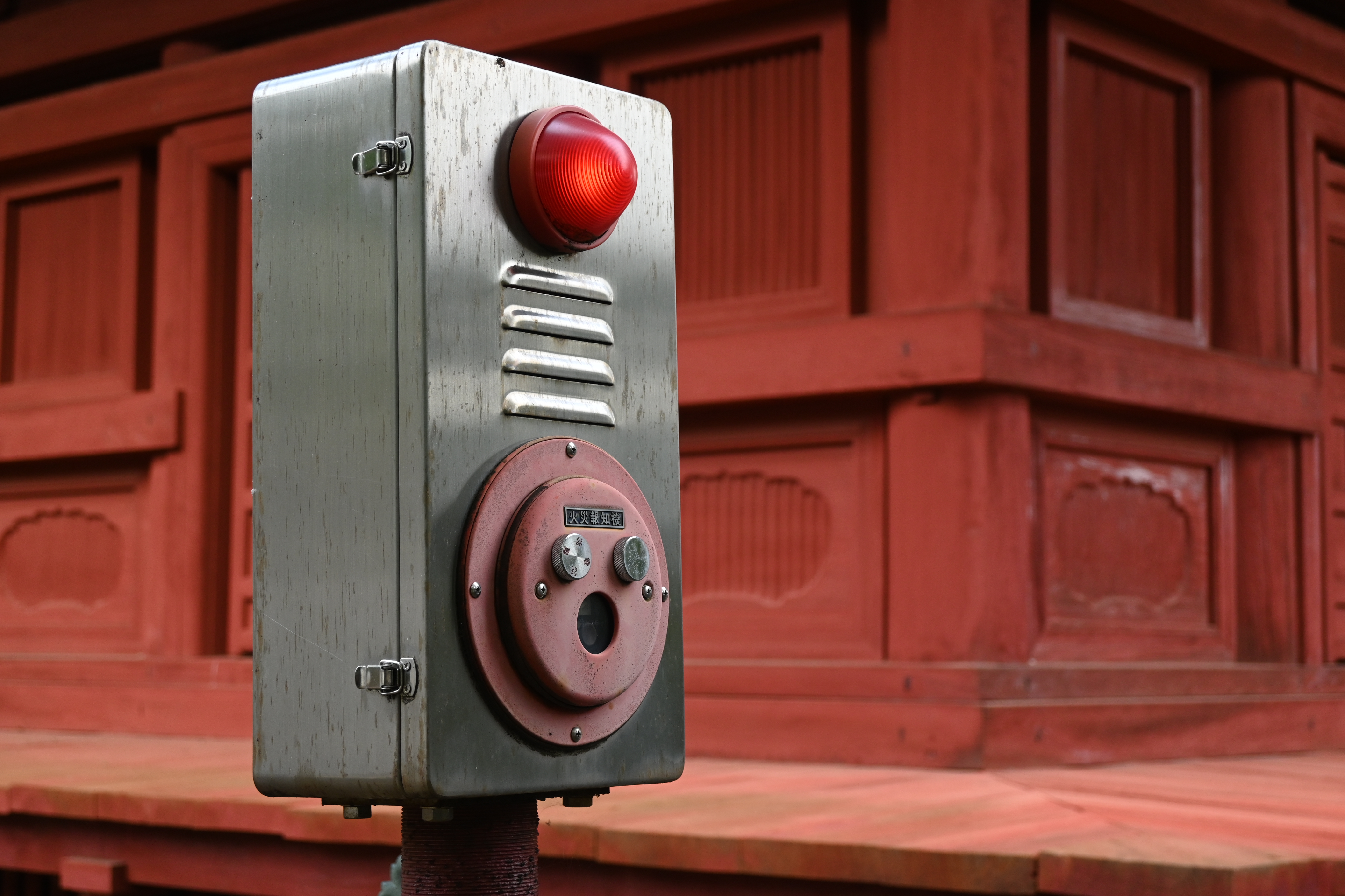 ニコン Z 30　NIKKOR Z DX 16-50mm f/3.5-6.3 VR（F5.6・1/50秒）ISO 400