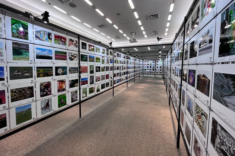 開場前に撮影（以下同）