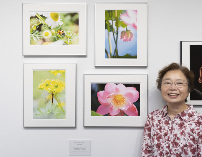 big sheepさんの作品「センス・オブ・ワンダー」