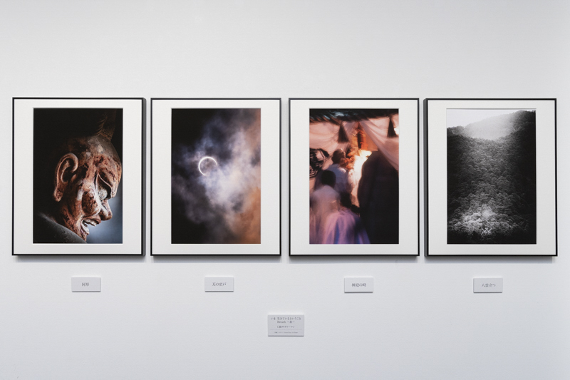 Ｃ級サラリーマンさんの作品「いま 生きているということ　Breath ～息～」