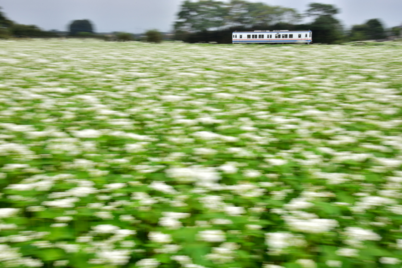 ニコンD750　AF-S NIKKOR 24-120mm f/4G ED VR（48mm） 絞り優先オート （F22、1/10秒）ISO 100　WB：晴天