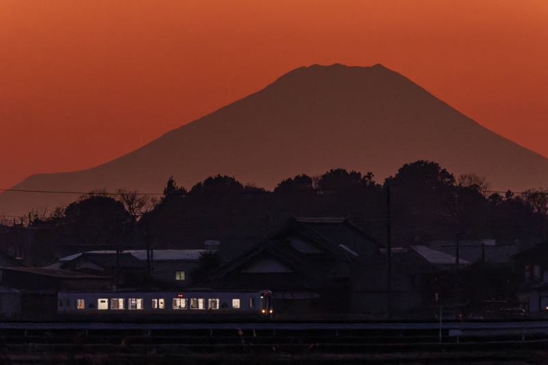 ソニーα1　FE 200-600mm F5.6-6.3 G OSS（847mm相当クロップ） マニュアル露出 （F6.3、1/320秒）ISO 6400　WB：太陽光