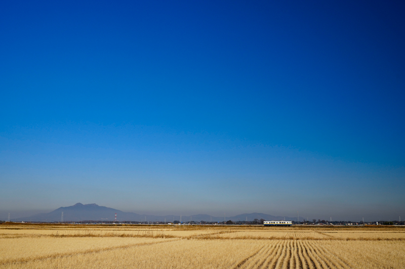 ソニーα1　FE 24-70mm F2.8 GM （39mm） 絞り優先オート （F8、1/1,000秒）ISO 400　WB：日陰