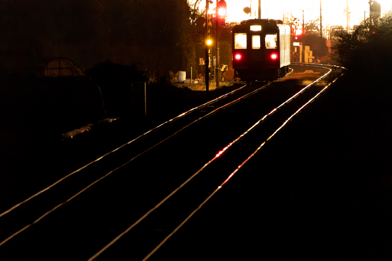 ソニーα1　FE 200-600mm F5.6-6.3 G OSS（900mm相当クロップ） マニュアル露出 （F6.3、1/40秒）ISO 12800　WB：日陰