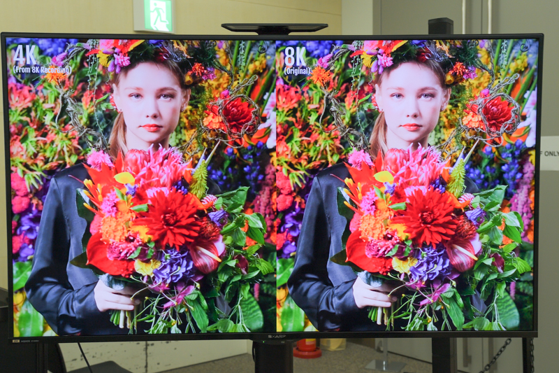 X-H2にて撮影された8Kと4Kの比較映像が常時展示されている