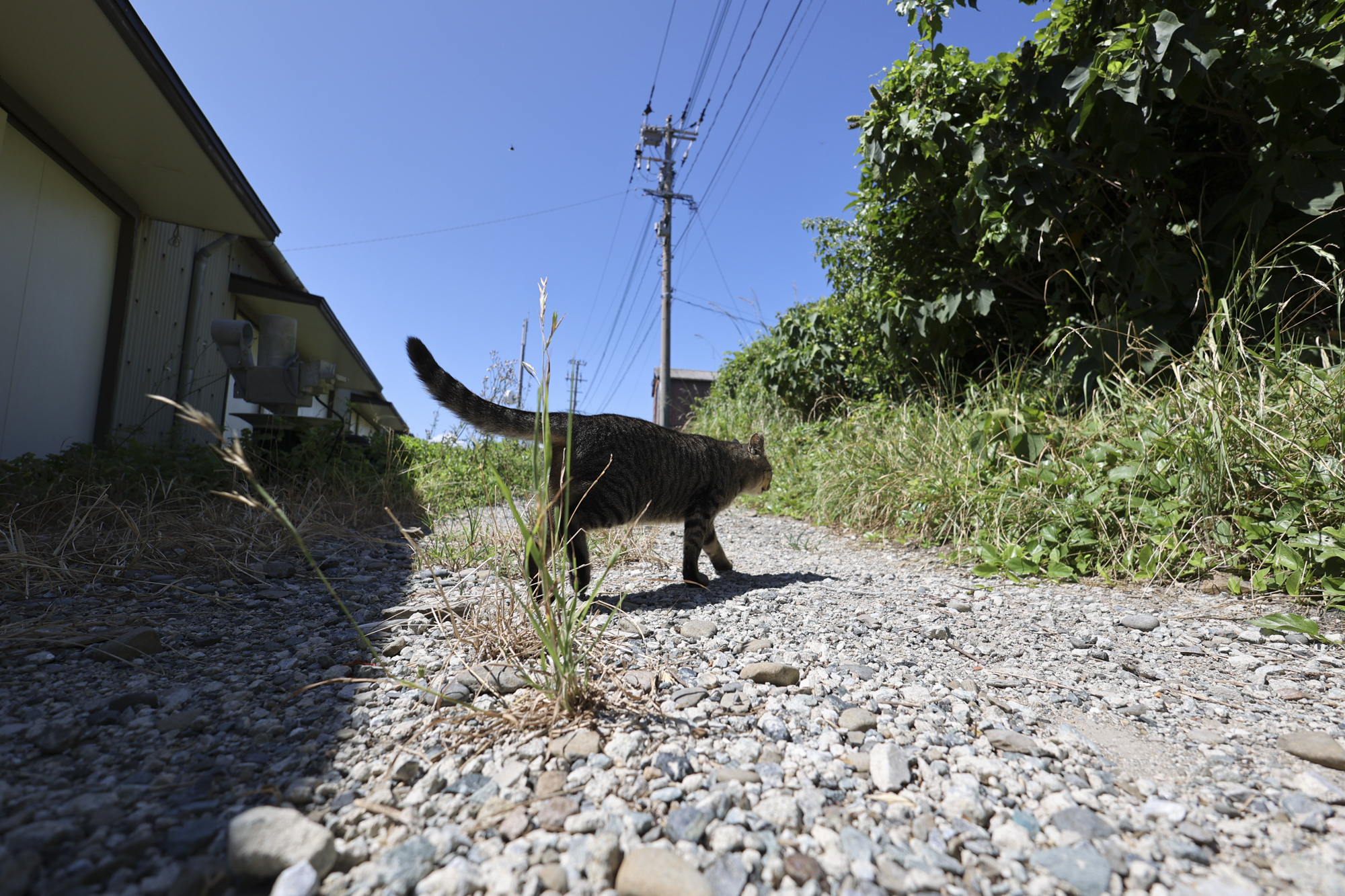 EOS R6／15mm／絞り優先AE（F4.6、1/800秒、±0EV）／ISO 100／WB：オート