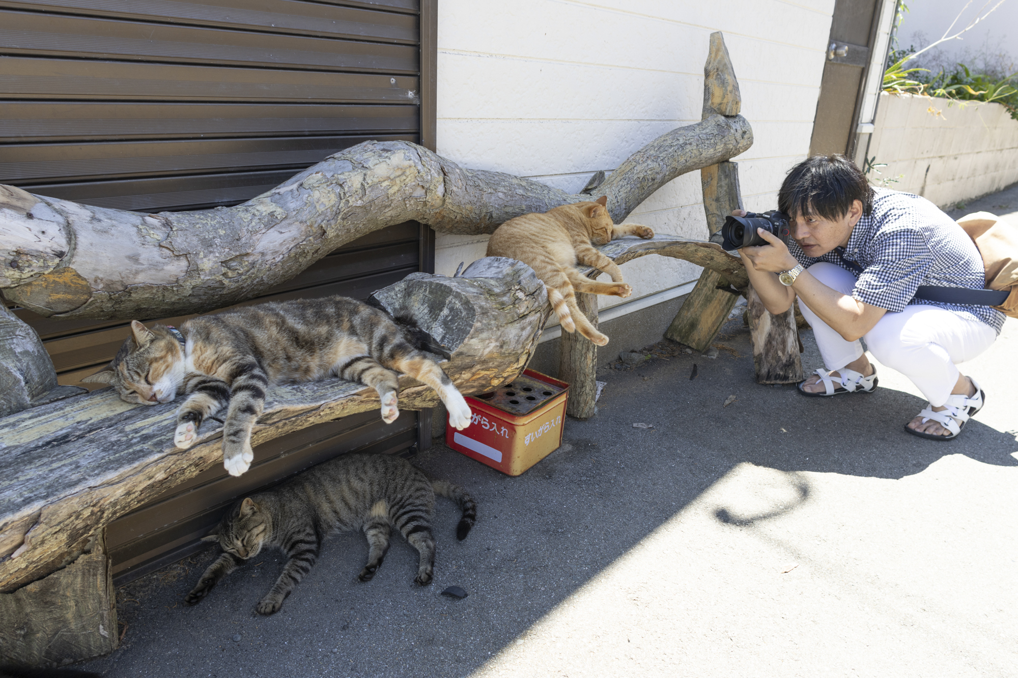EOS R6／15mm／絞り優先AE（F6.4、1/125秒、-0.7EV）／ISO 100／WB：オート