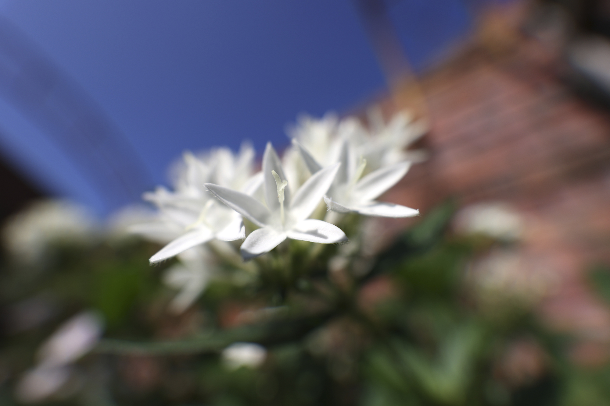 EOS R6／15mm／マニュアル露出（F5.6、1/1,000秒）／ISO 100／WB：オート