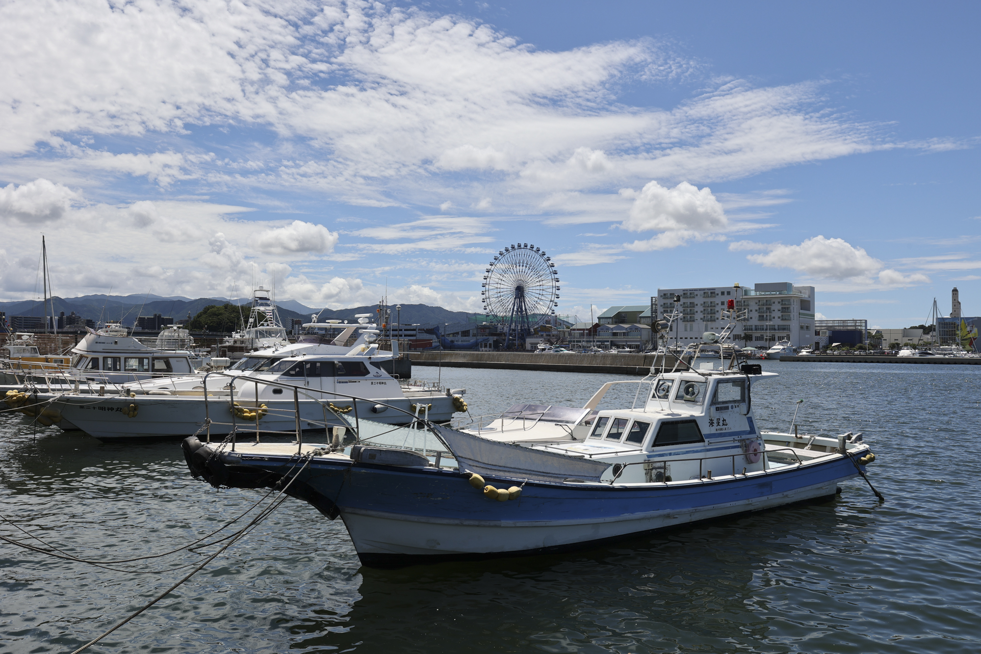 EOS R6／30mm／プログラムAE（F13、1/250秒、±0EV）／ISO 100／WB：オート