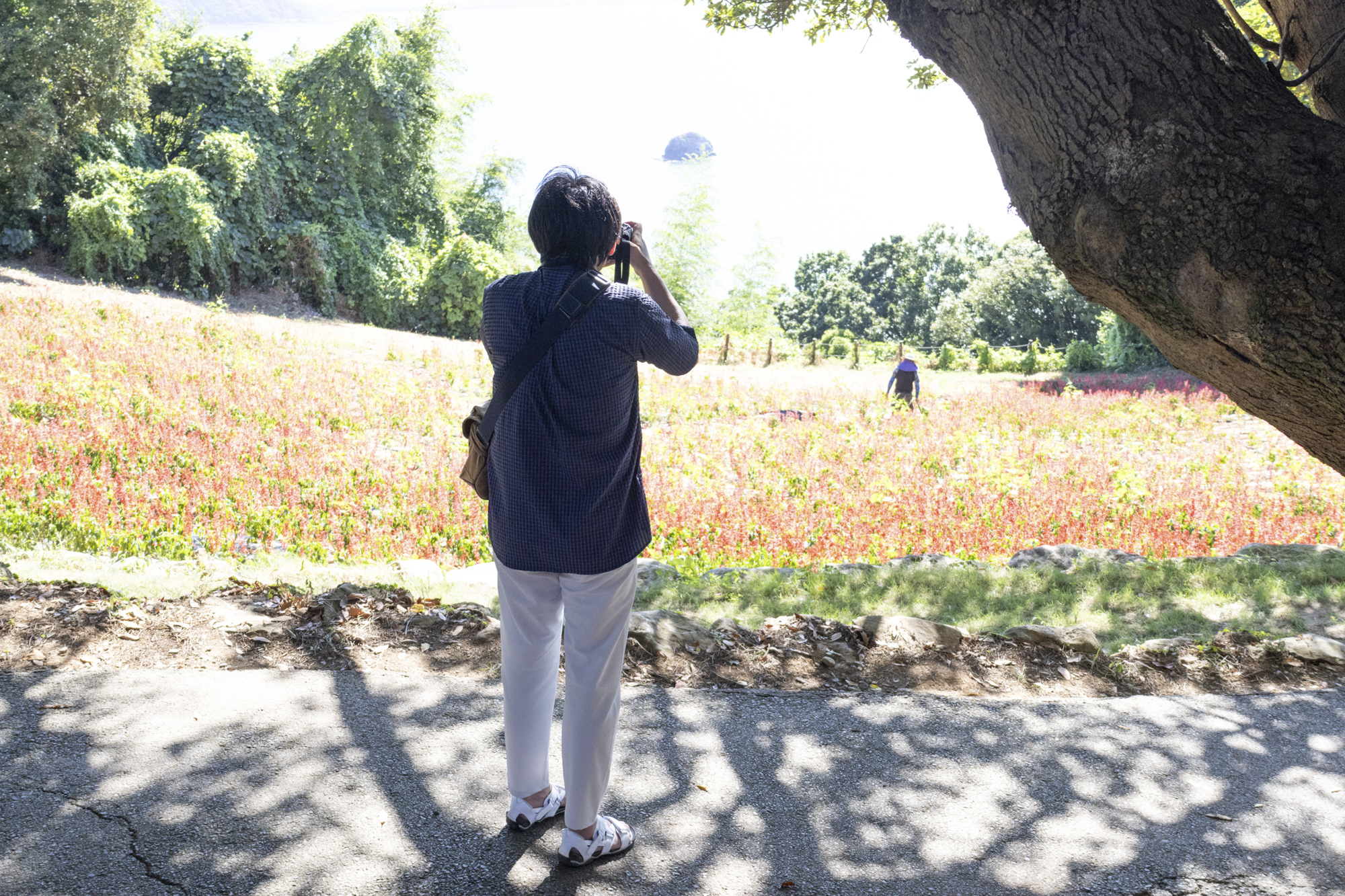 EOS R6／15mm／プログラムAE（F9、1/250秒、-0.3EV）／ISO 100／WB：オート