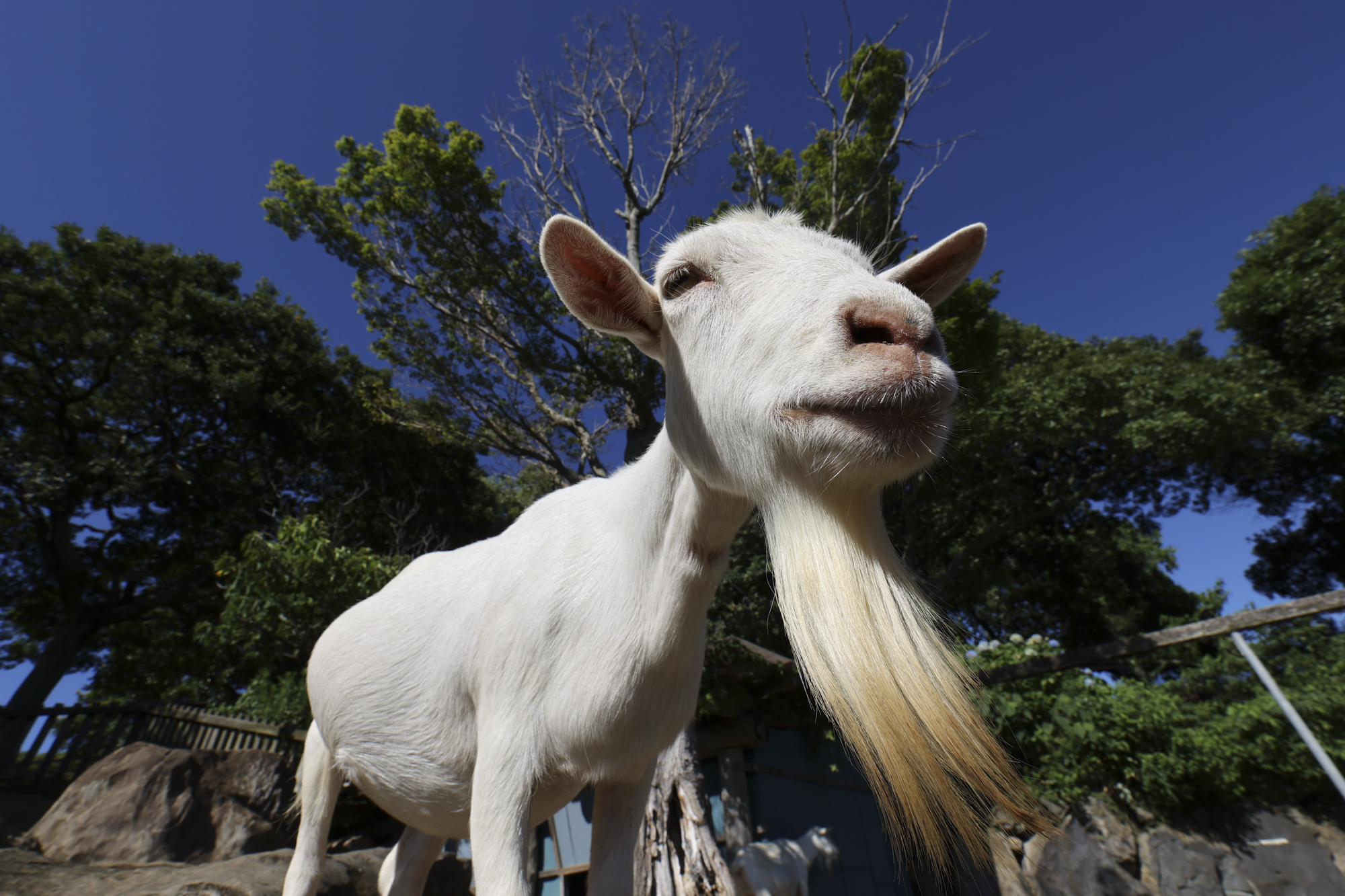 EOS R6／15mm／プログラムAE（F11、1/400秒、-1.0EV）／ISO 100／WB：オート