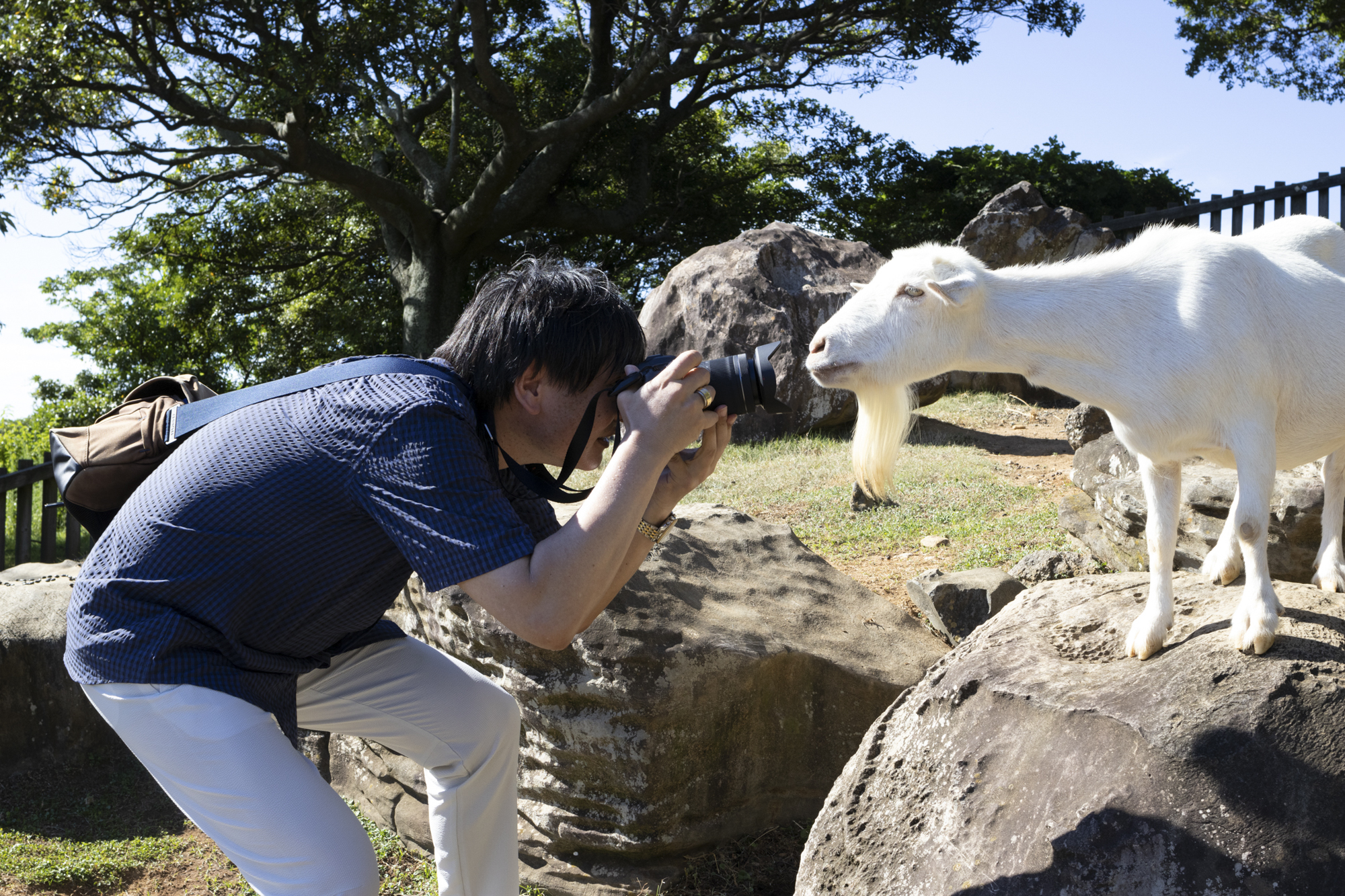 EOS R6／15mm／プログラムAE（F11、1/400秒、-1.0EV）／ISO 100／WB：オート