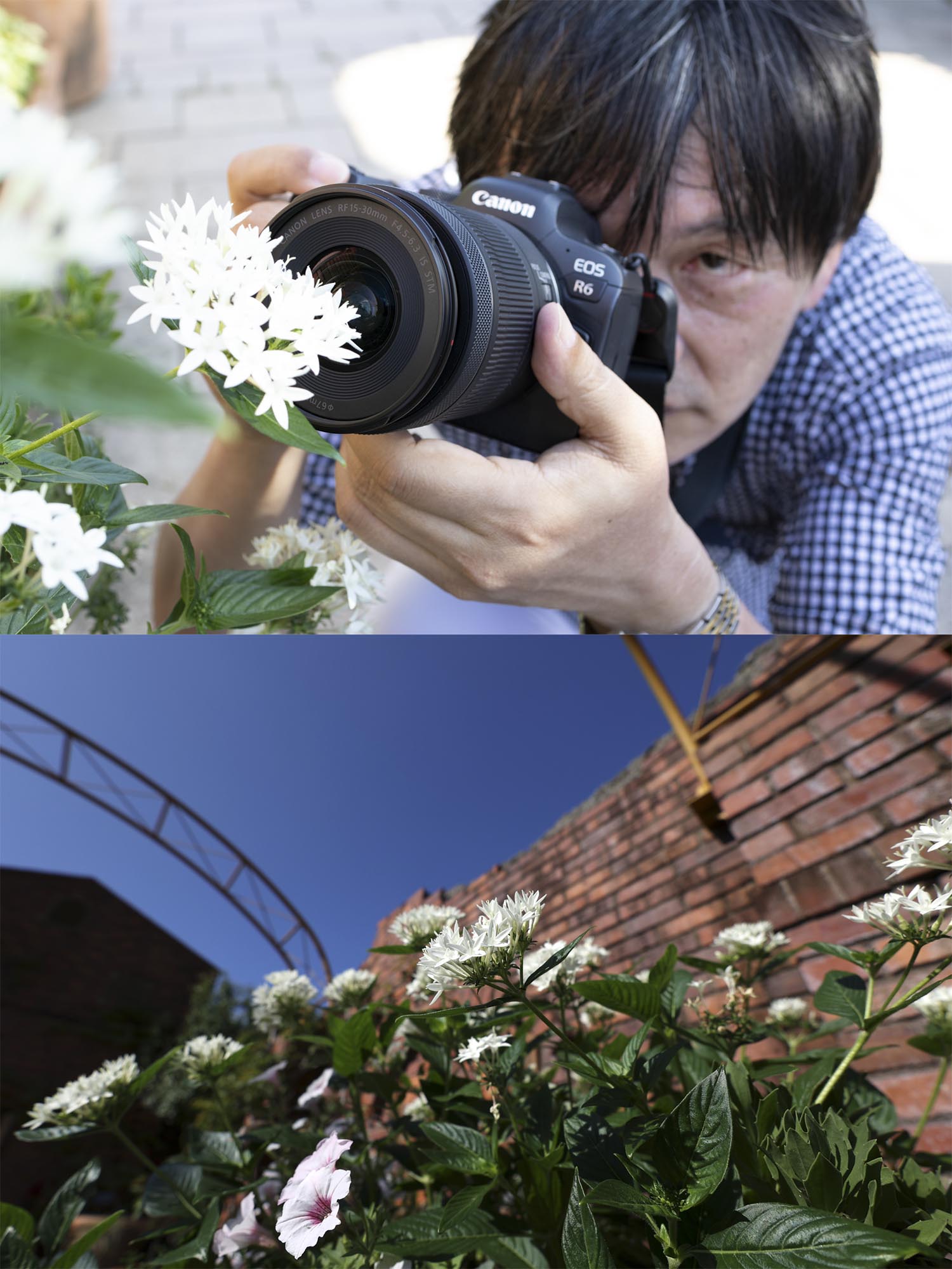 EOS R6／15mm／マニュアル露出（F5.6、1/1,000秒）／ISO 100／WB：オート