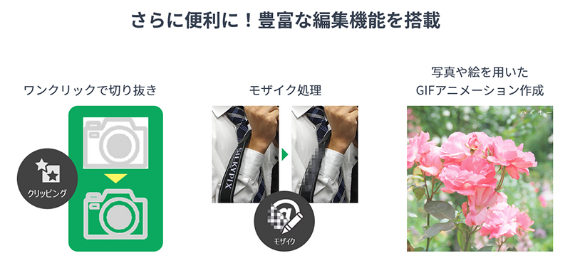 モザイク処理やGIFアニメなども簡単にできるという