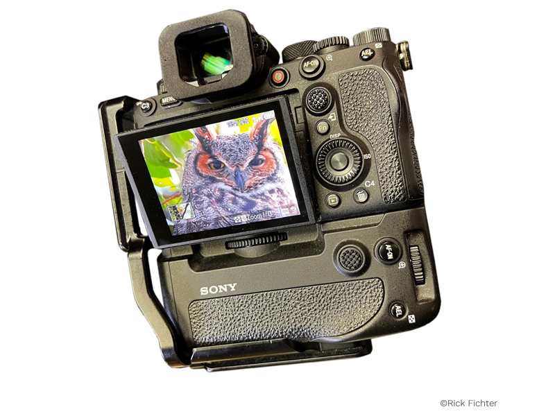 「EP-SP」（ソニーα1/α7S III/α7 IV用）。以下同