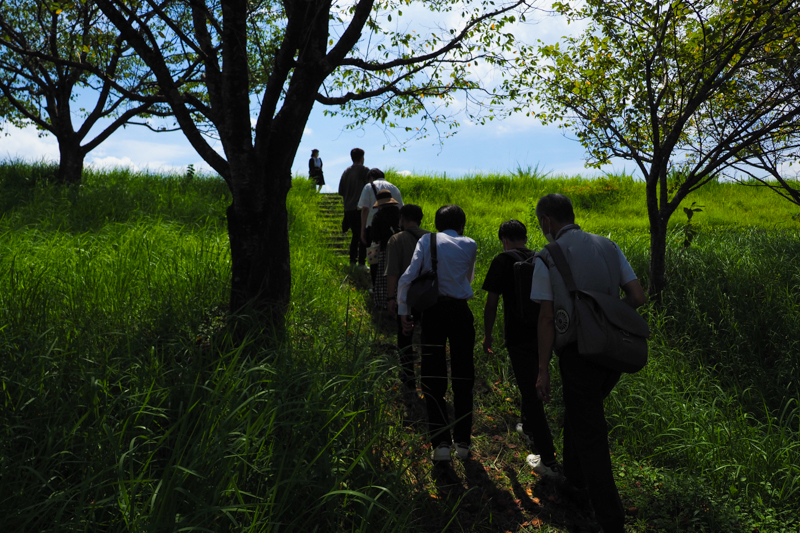 緑の土手を上がっていくと……