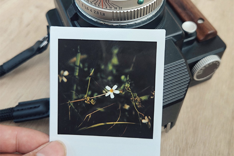 対応フィルムは富士フイルムのチェキスクエア（instax SQUARE）。画角は35mmフルサイズ（3：2）で撮った場合と同じになるという