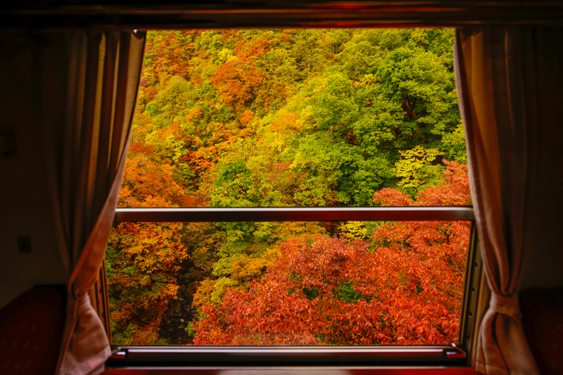 車窓越しに紅葉を写したものですが、これはもう劇場でしょ？ カーテンを開ければ、ドラマチックな秋色のショーが始まるのです！<br>ソニーα7R III　FE 16-35mm F2.8 GM （16mm） 絞り優先オート （F3.2、1/250秒） ISO 80 WB:日陰