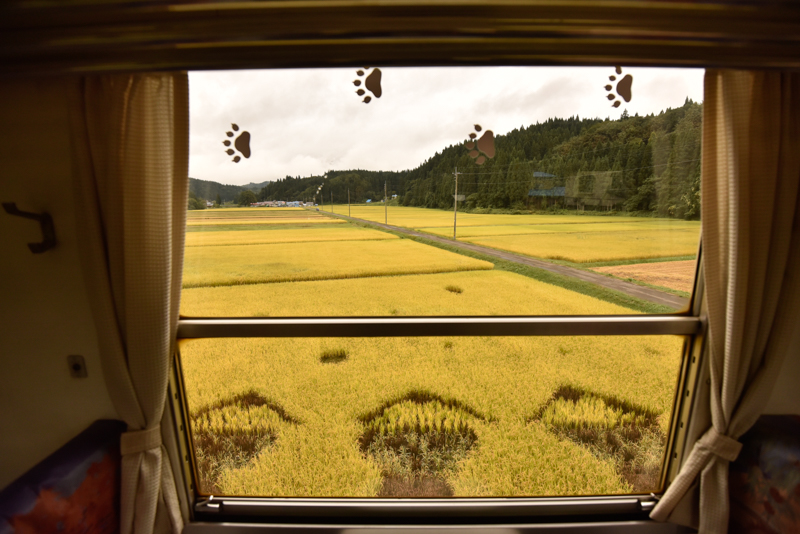 ニコンD750　AF-S NIKKOR 16-35mm f/4G ED VR （16mm） 絞り優先オート （F4、1/3,000秒） ISO 800 WB:晴天日陰