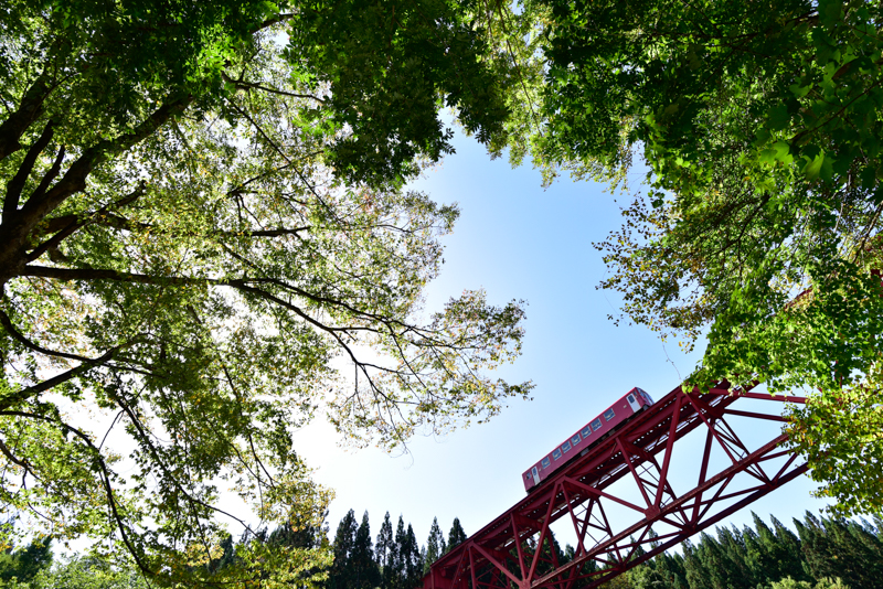 ニコンD750　AF-S NIKKOR 16-35mm f/4G ED VR （16mm） 絞り優先オート （F8、1/350秒） ISO 400 WB:晴天