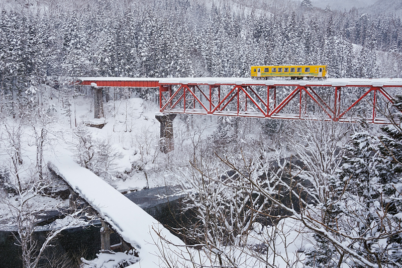 ソニーα1　FE 24-70mm F2.8 GM （32mm） 絞り優先オート （F13、1/200秒） ISO 400 WB:オート