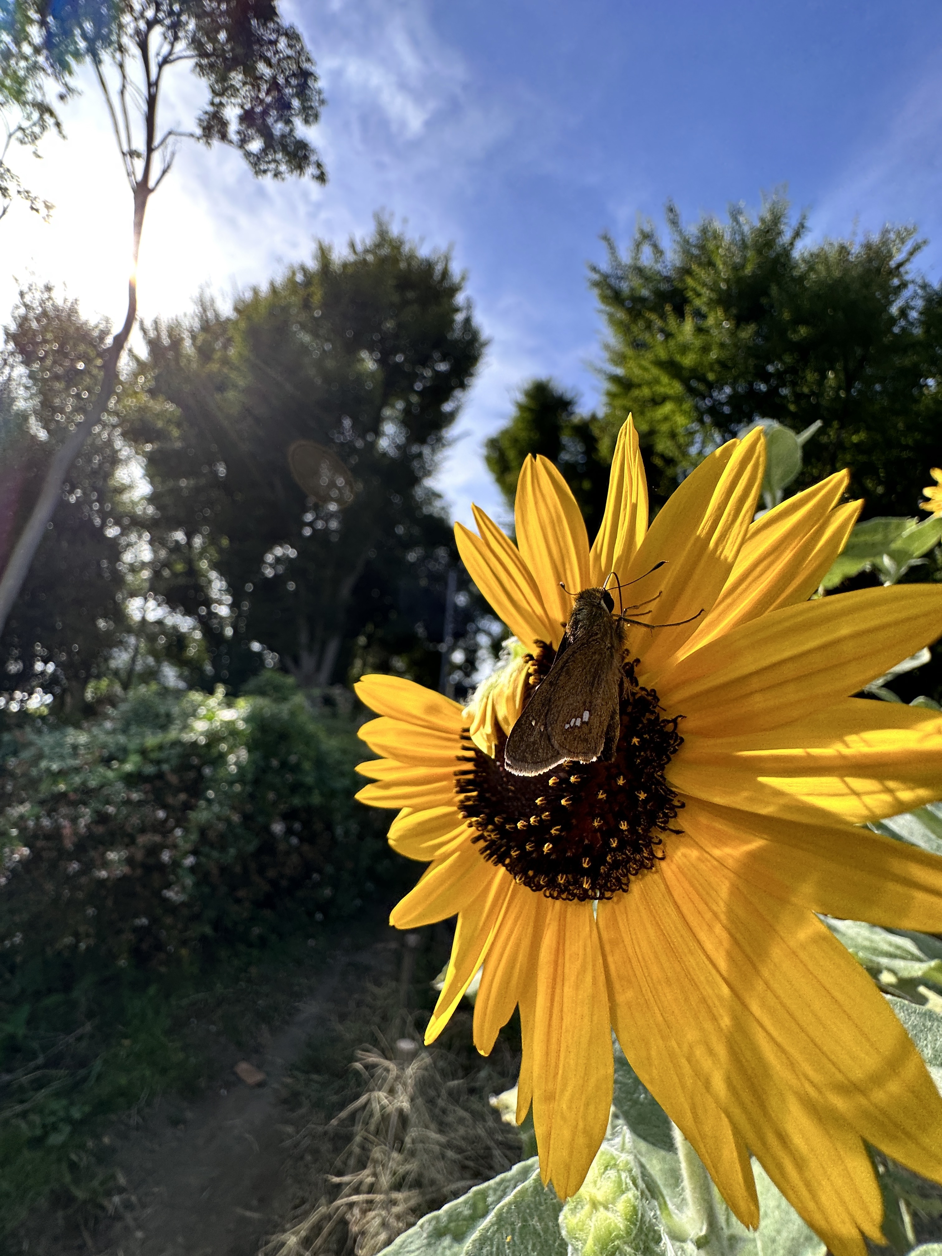 iPhone 14 Pro Max　超広角カメラ（F2.2・1/1,000秒）ISO 50