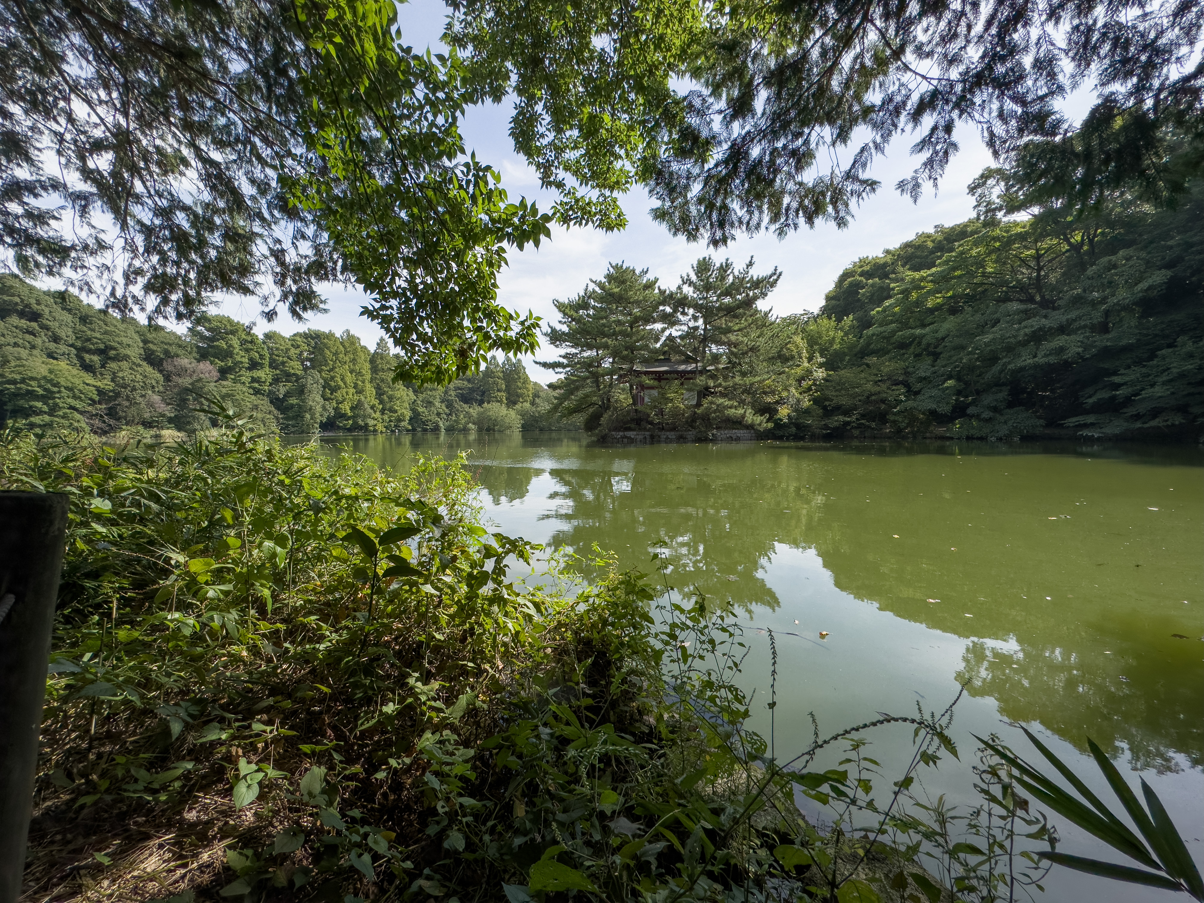 0.5倍：13mm相当（超広角カメラ）