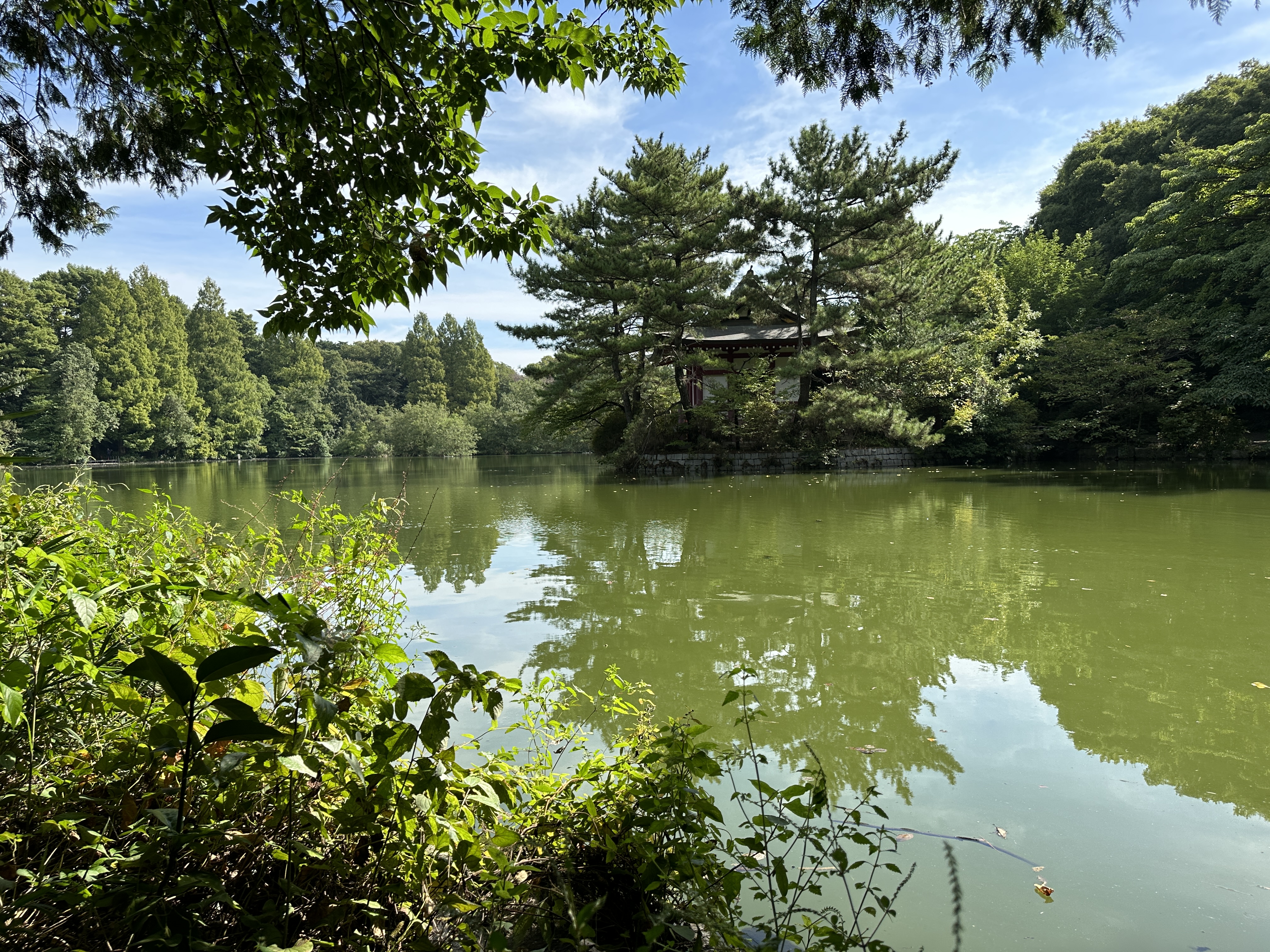 1倍：24mm相当（広角カメラのフル画角）