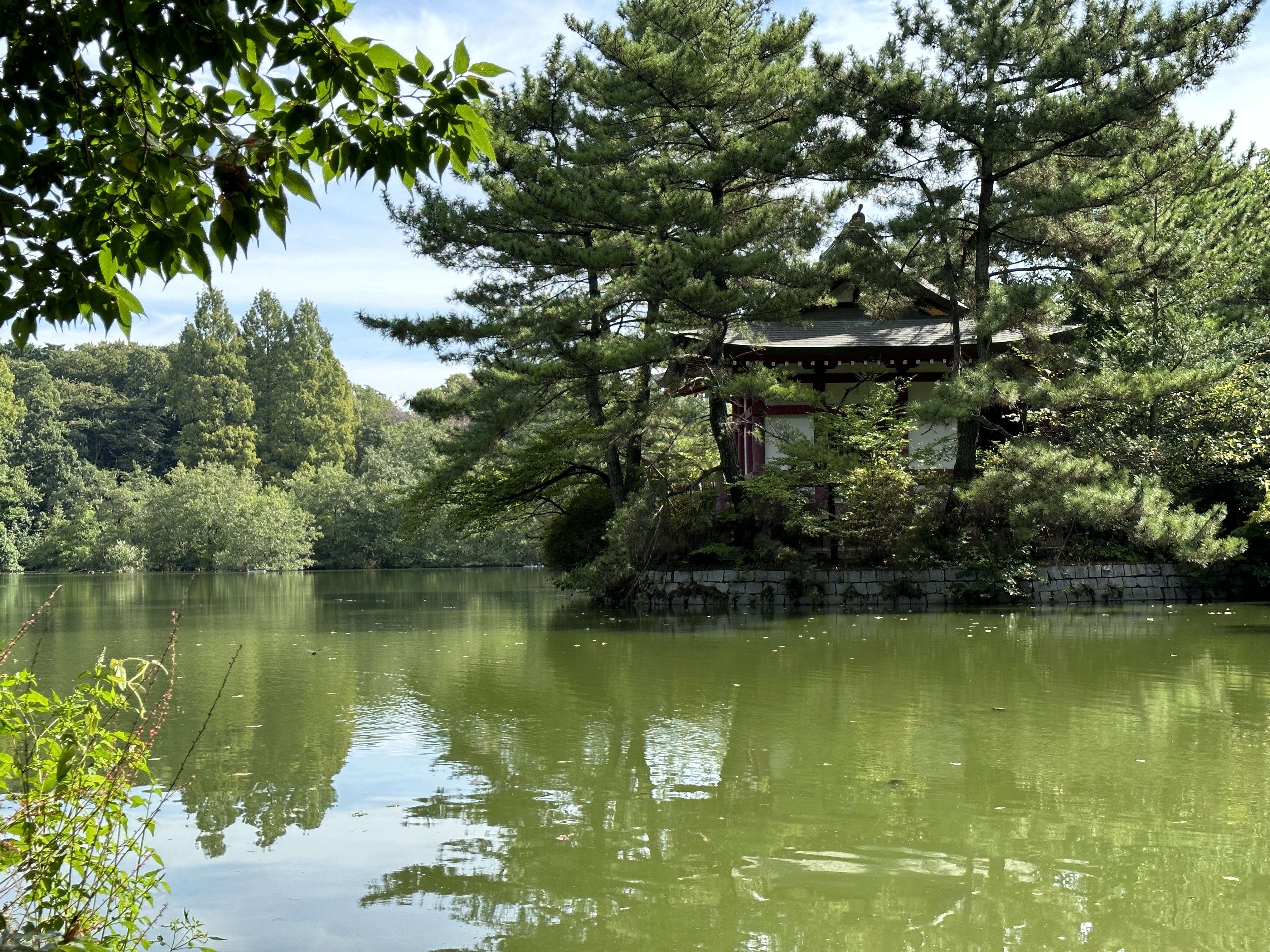 2倍：48mm相当（広角カメラのクロップ）