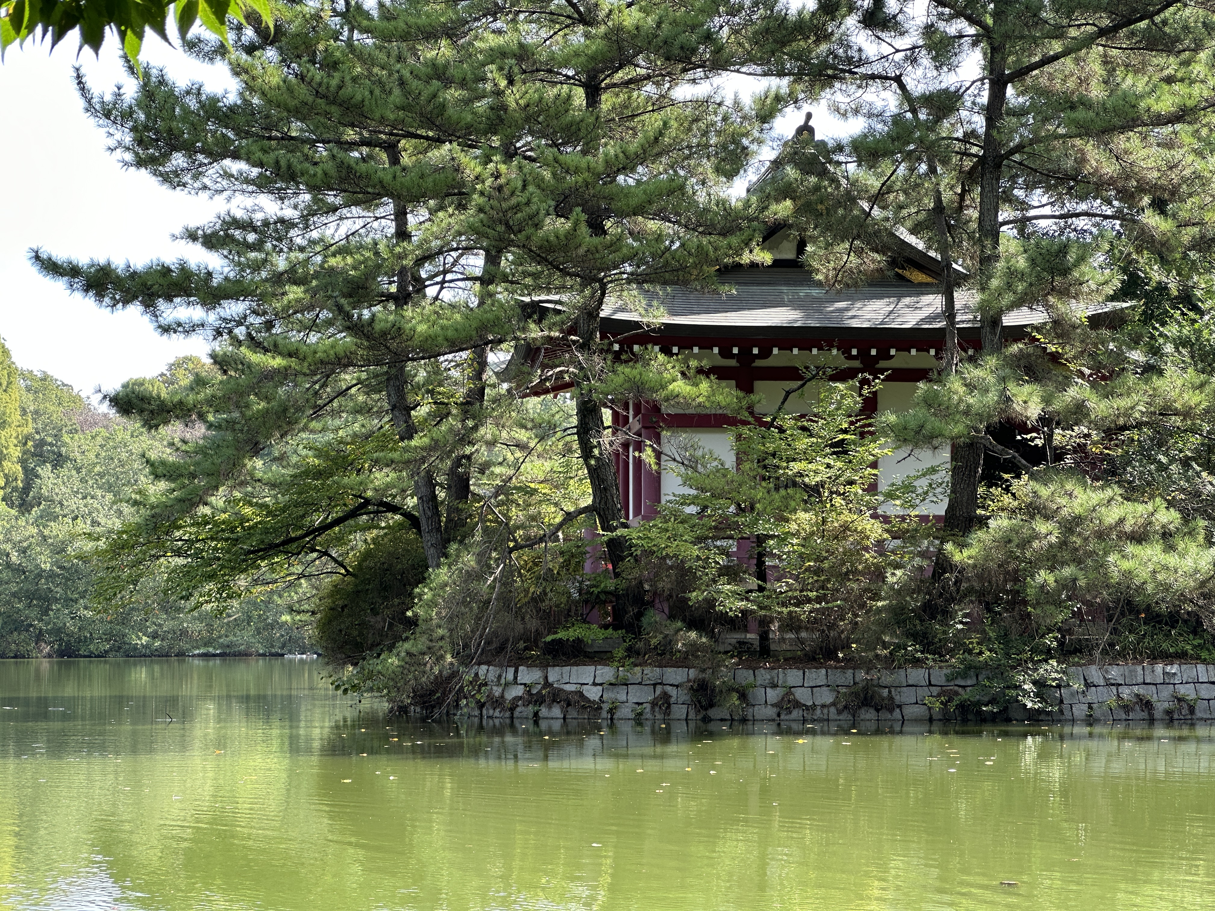 3倍：77mm相当（望遠カメラ）