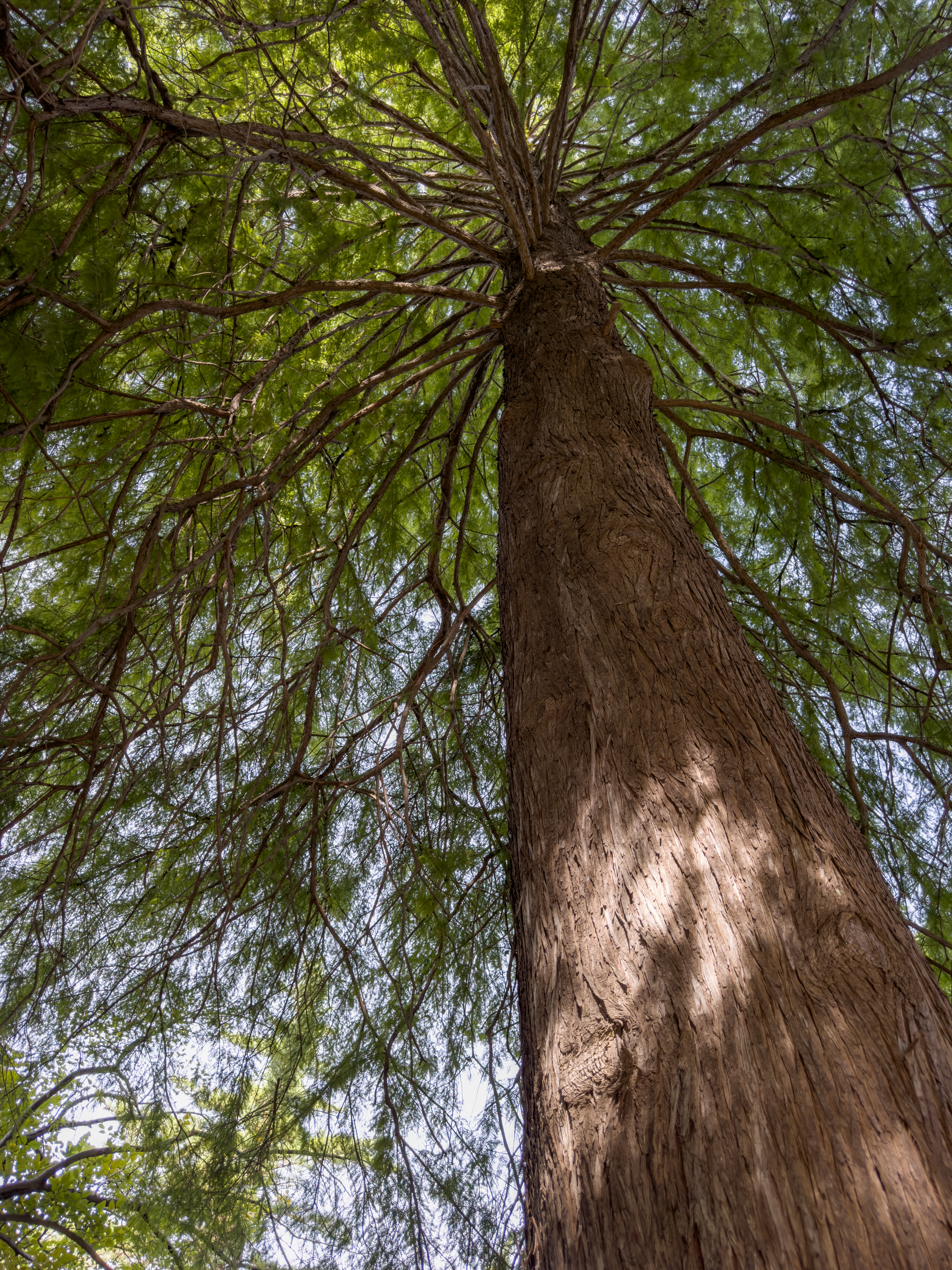 同じデータから、ハイライトを抑え、シャドウ部を持ち上げる形で現像した写真。