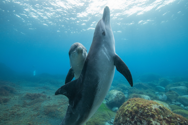 (c)Tomohiro Sugimura