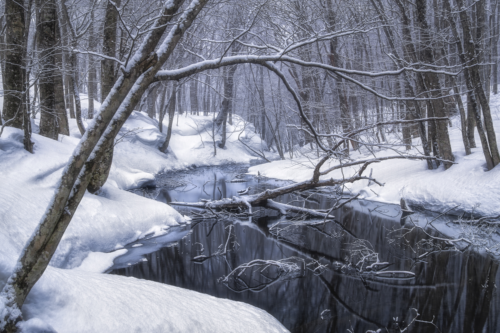 露出の違う7枚を連写して合成するシグマ独自のSFDモードを使用。安定性の悪い深雪での連写でも、LQ-324Cは一切ぶれず、雪の質感を精密に描写した<br> <br><span class="fnt-85">SIGMA sd Quattro H／24-105mm F4 DG OS HSM｜Art／31mm（41mm相当）／マニュアル露出（F14）／ISO 100／WB：5,000K／SFDモードを使用して露出の異なる7枚を合成</span>
