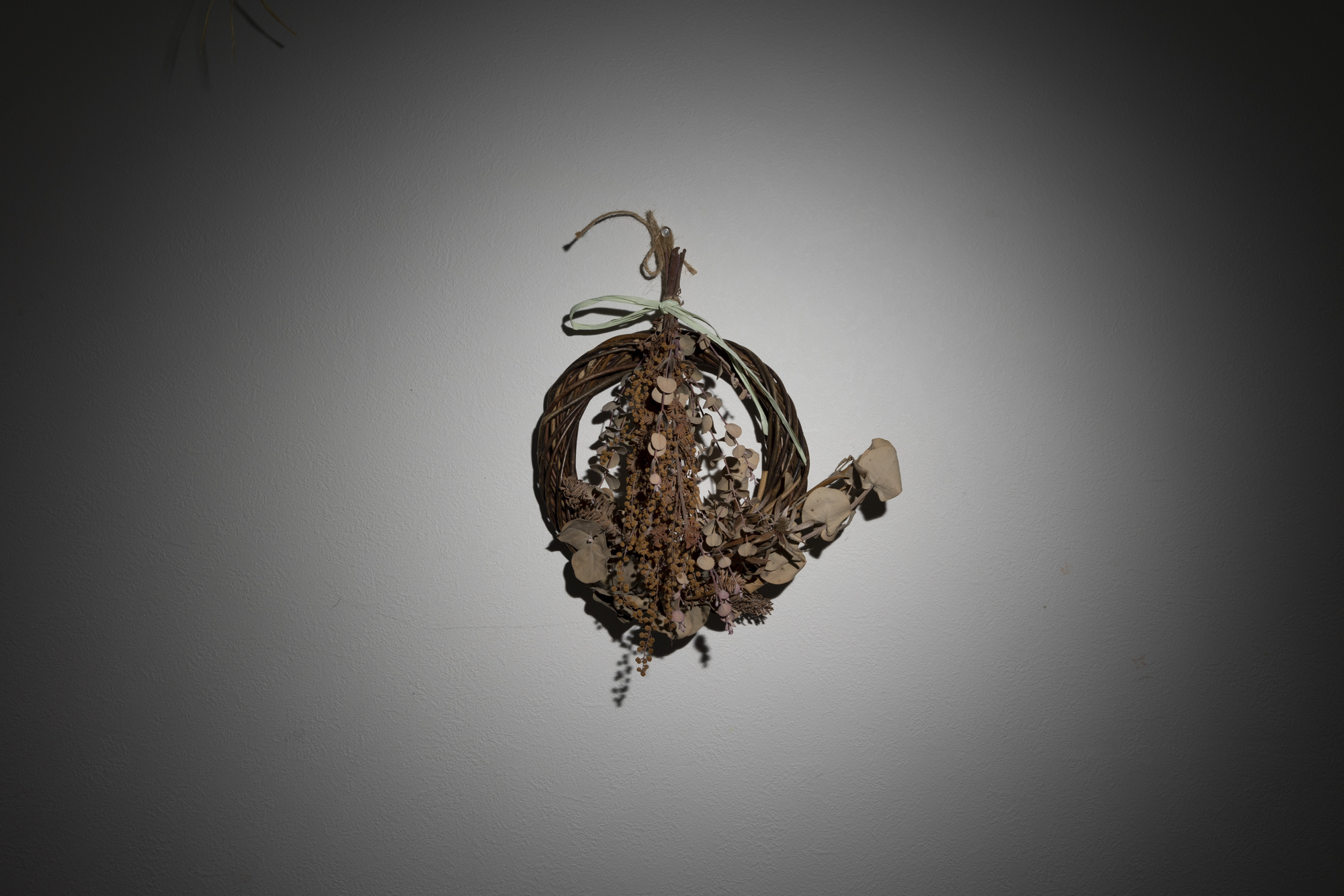 Clic グリッド20度