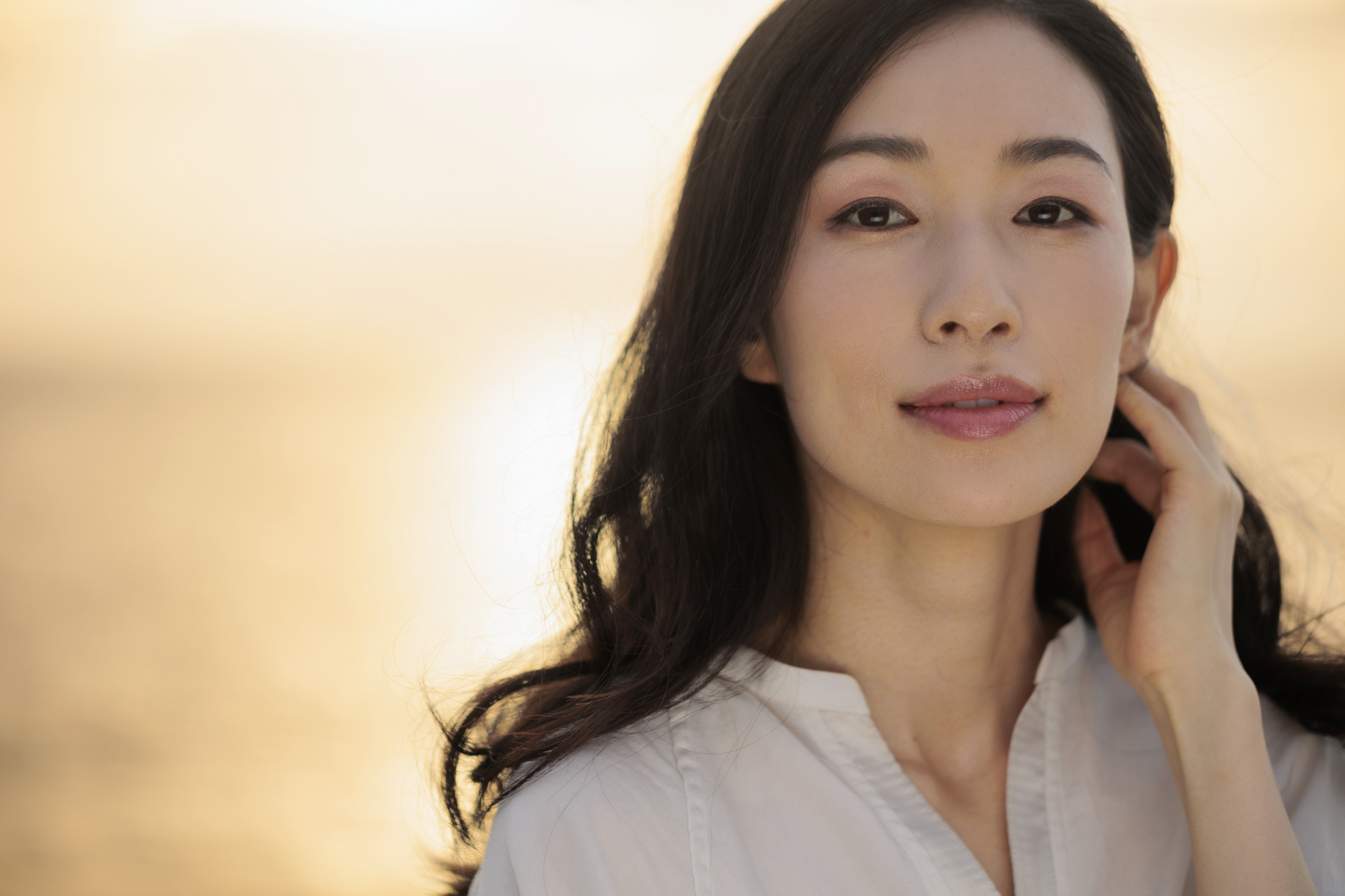 OCF ソフトボックス ストリップ型のみ