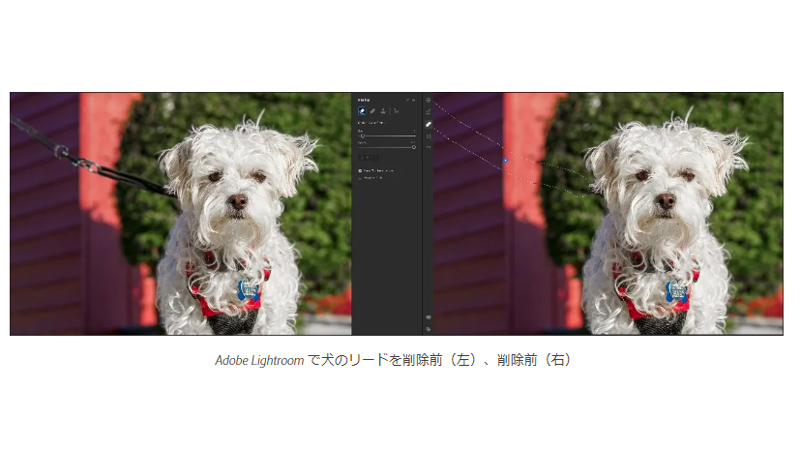 <a href="https://blog.adobe.com/jp/publish/2022/10/18/cc-photo-photography-at-adobe-max-2022-new-features-for-adobe-lightroom-and-more">アドビブログ</a>より
