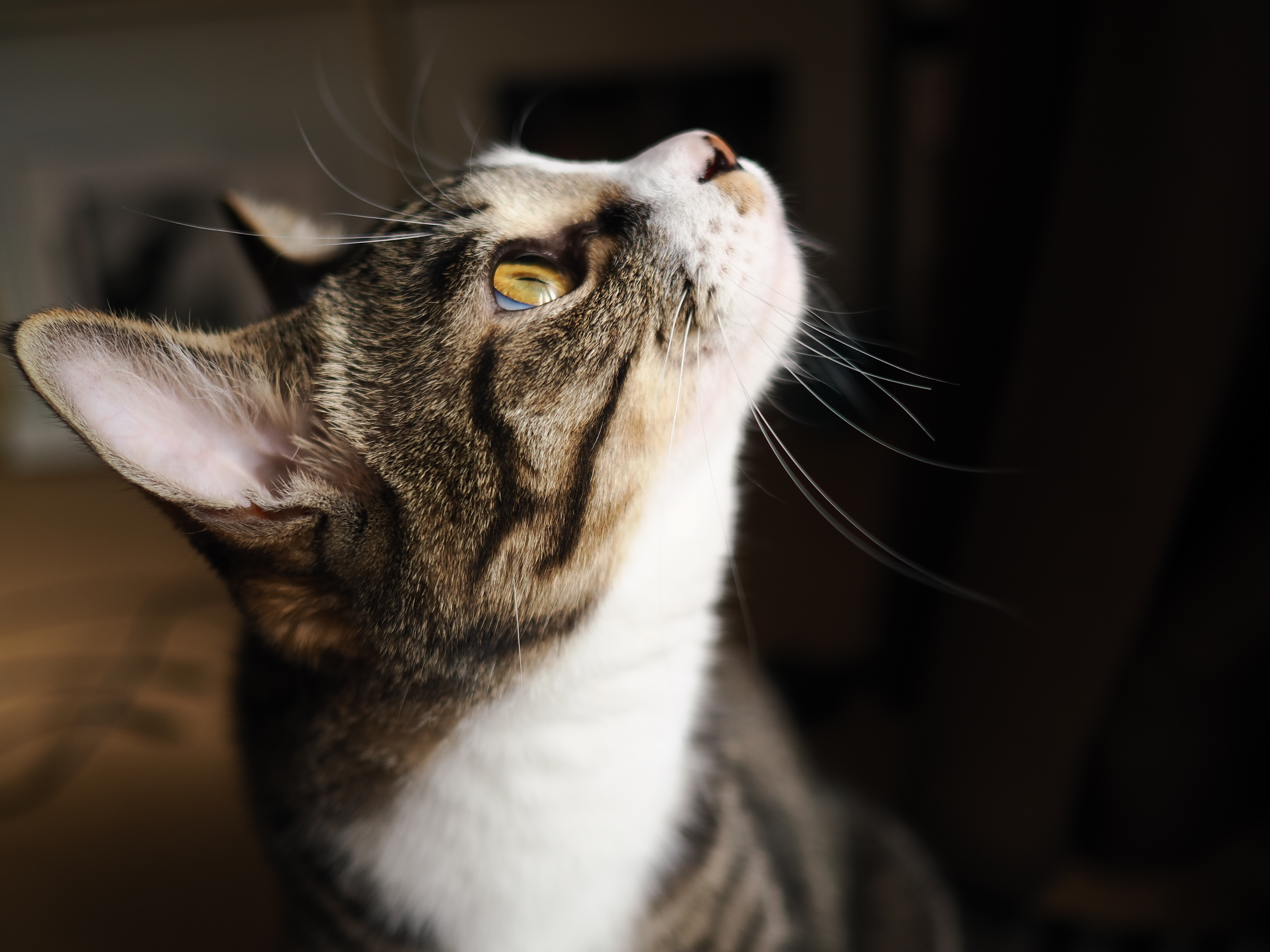 OM SYSTEM OM-1　M.ZUIKO DIGITAL 17mm F1.8（F1.8・1/2000秒）ISO 200