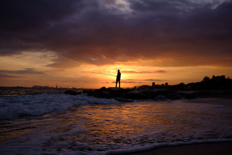 サンプル画像（焦点工房提供。以下同）