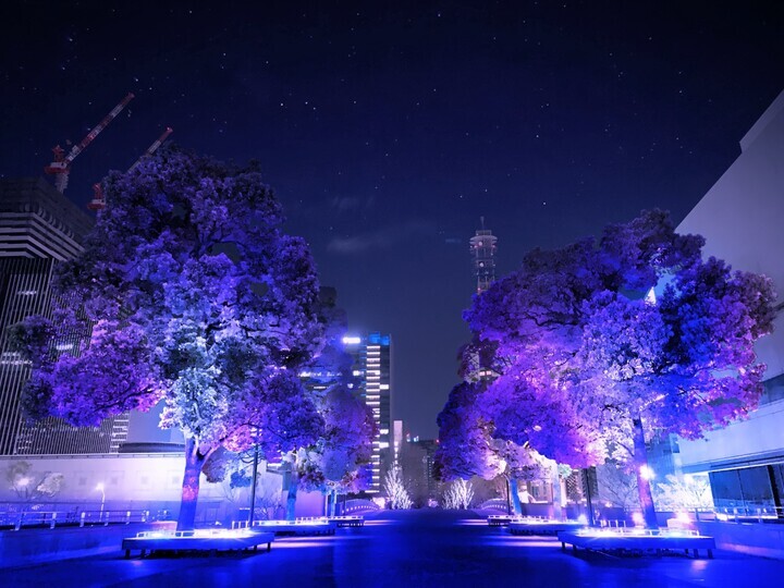 ヨーヨー広場（イメージ）