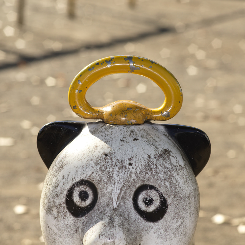 絞りの五角形がハイライトの点には出ますねえ。これは宿命でどうしようもありません。合焦点はビシッときます。スピードライトを使いシャドーを起こしています。<br>CFV II 50C　ゾナーCF T* 180mm F4（F8・1/500秒）ISO 400