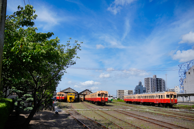 ソニーα1　FE 24-70mm F2.8 GM （29mm） 絞り優先オート （F3.2、1/10,000秒） ISO 400 WB:太陽光