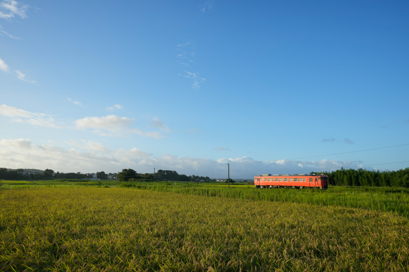 ソニーα1　FE 16-35mm F2.8 GM （23mm） 絞り優先オート （F5.6、1/800秒） ISO 400 WB:太陽光