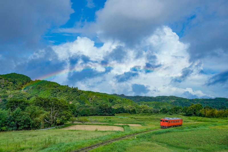 ソニーα1　FE 16-35mm F2.8 GM （30mm） 絞り優先オート （F8、1/640秒） ISO 400 WB:太陽光 <a href="https://goo.gl/maps/pp89gd2CV22YiUcYA" class="n" target="_blank">[Google Maps]</a><br>小湊鐵道随一の撮影ポイント「石神の菜の花畑」で撮影したこの作品がベストショット。その名のとおり菜の花で満開になる春が狙い目ですが、それ以外のシーズンもさまざまな撮影が楽しめます。撮影日は、雨が降ったり晴れたりの変わりやすいお天気。もしかして虹が出るのでは？と粘っていると、うっすらではありますが列車のタイミングにあわせて虹が出てくれました。<br>今までは赤とベージュのツートンカラーの車両ばかりだったので、いわゆるタラコ色の気動車が走る風景はかなり新鮮！ また小湊鐵道に通う理由が増えました。