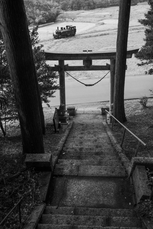 ソニーα1　FE 24-70mm F2.8 GM II （28mm） 絞り優先オート （F8、1/1,000秒） ISO 800 WB:日陰