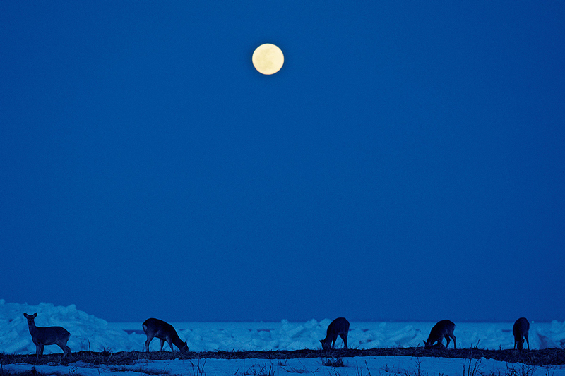 🄫Takeshi Mizukoshi