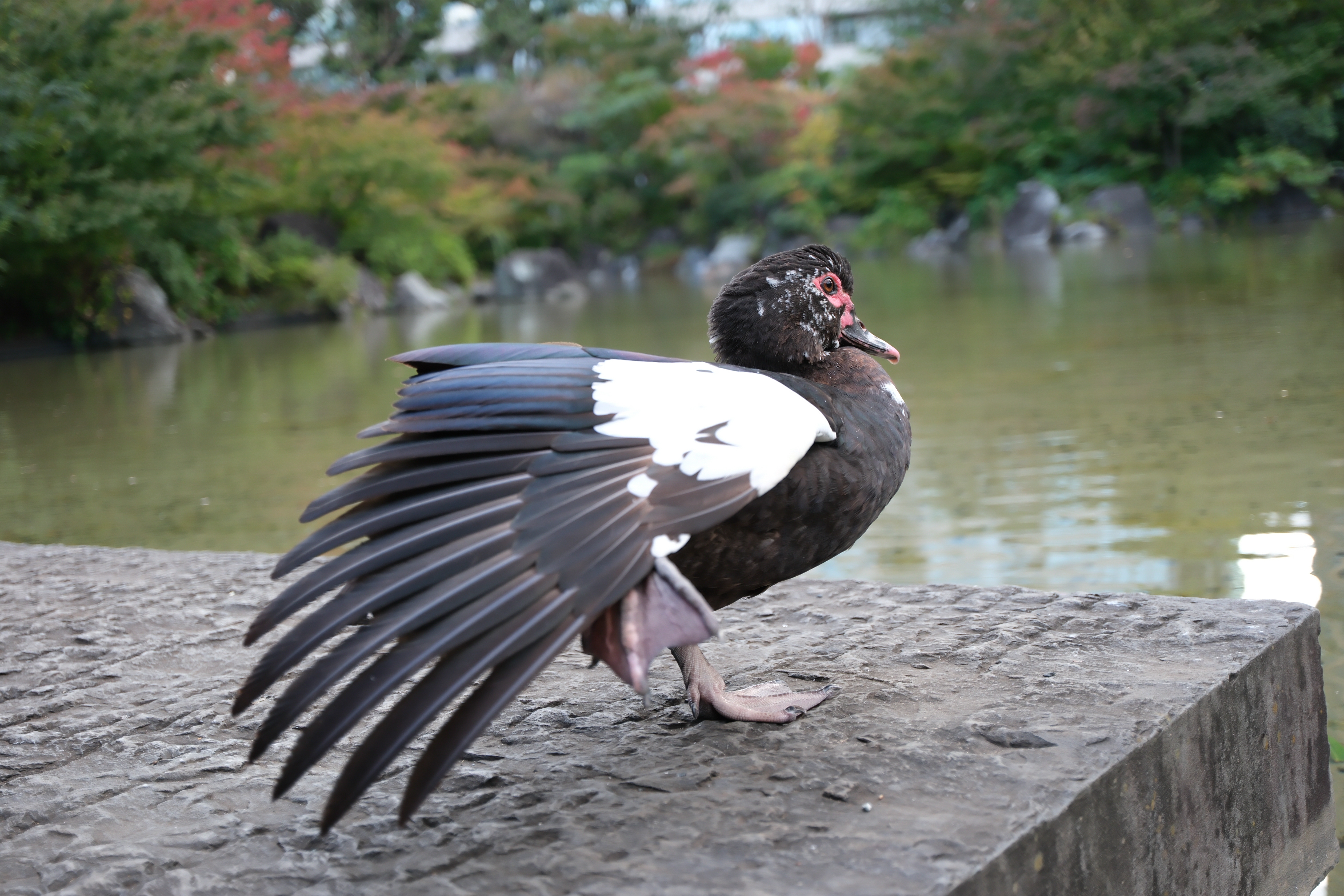 X-T5　XF30mmF2.8 R LM WR Macro（F2.8・1/105秒・30mm）ISO 125