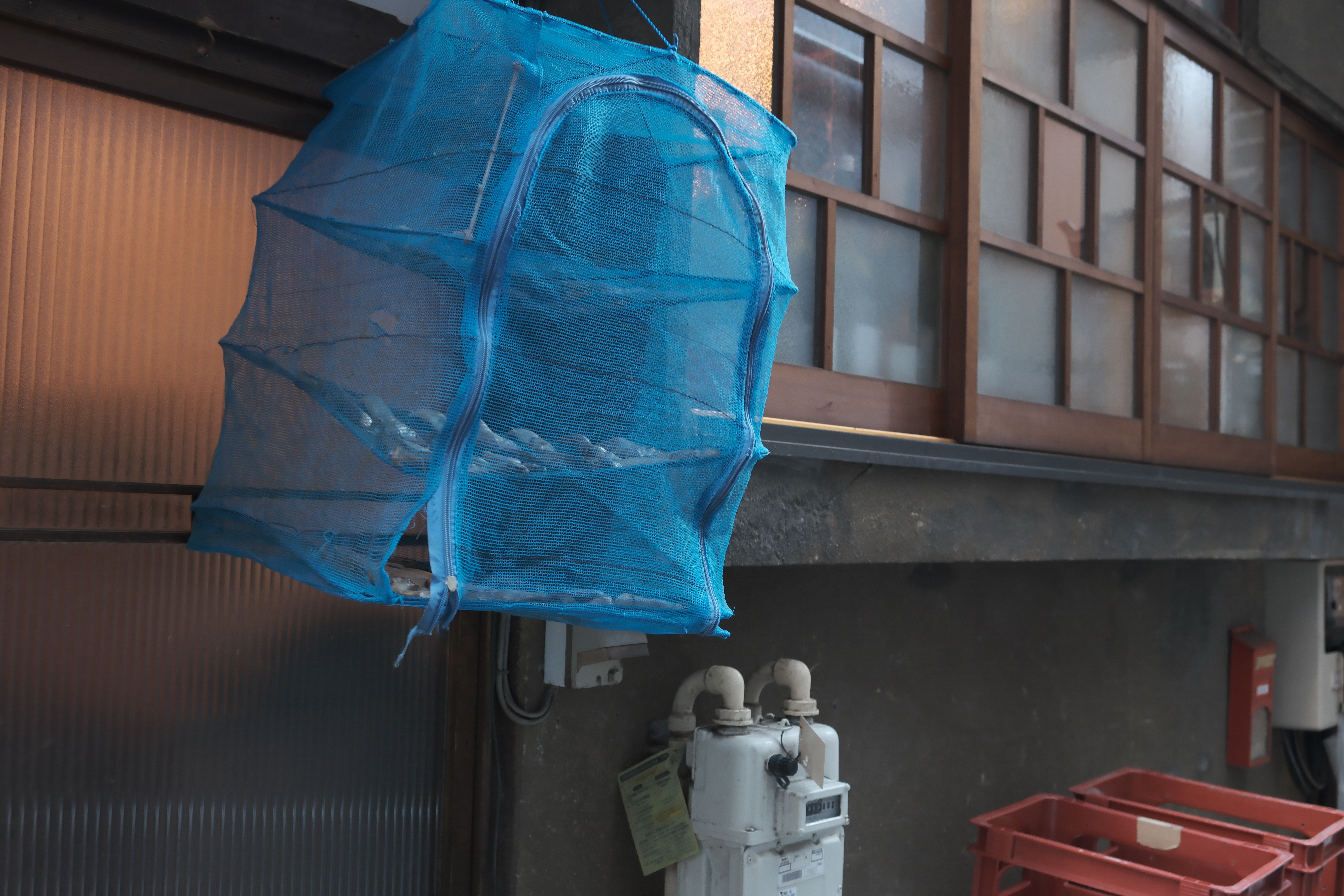 X-T5　XF18-55mmF2.8-4 R LM OIS（F4.5・1/13秒・25mm）ISO 800